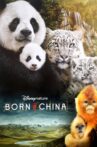 Born in China Movie Streaming Online Watch on Disney Plus Hotstar