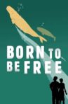 Born to Be Free Movie Streaming Online Watch on Netflix
