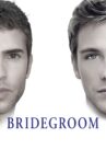Bridegroom Movie Streaming Online Watch on Tubi