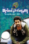 Brindaavanam Movie Streaming Online Watch on MX Player, Sun NXT, Voot, Zee5