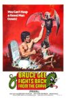 Bruce Lee Fights Back from the Grave Movie Streaming Online Watch on MX Player
