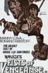 Bruce's Fists Of Vengeance Movie Streaming Online Watch on Film Rise, MX Player