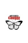 Butterfly Caught Movie Streaming Online Watch on Tubi