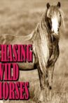 Chasing Wild Horses Movie Streaming Online Watch on Tubi