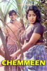 Chemmeen Movie Streaming Online Watch on ErosNow, Jio Cinema
