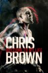 Chris Brown: Welcome to My Life Movie Streaming Online Watch on Tubi