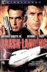 Crash Landing Movie Streaming Online Watch on Tubi