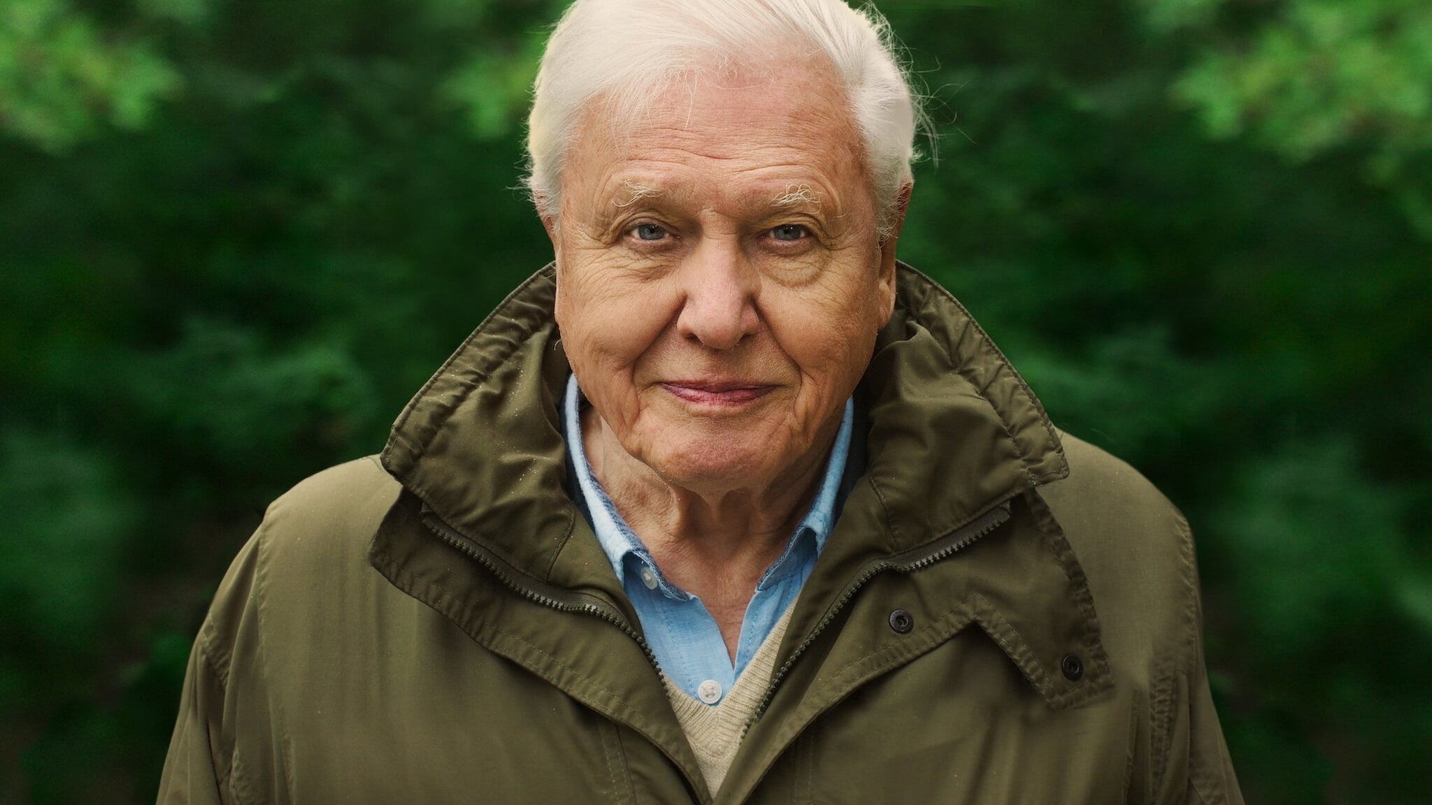 David Attenborough A Life On Our Planet Documentary Streaming Online 