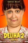 Deliha 2 Movie Streaming Online Watch on Netflix