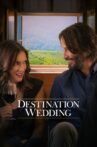 Destination Wedding Movie Streaming Online Watch on Google Play, Youtube, iTunes