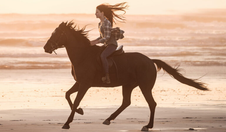 Disney’s Black Beauty: Celebrating a Unique Bond This Season