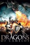 Dragons of Camelot Movie Streaming Online Watch on ErosNow, Hungama, Jio Cinema, MX Player