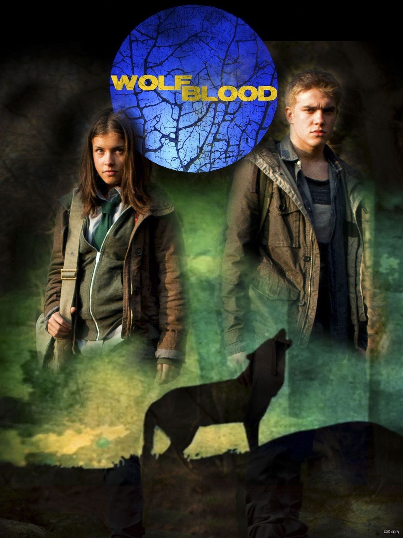 Wolfblood Welsh  Series Streaming Online Watch on Netflix