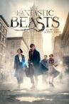 Fantastic Beasts and Where to Find Them Movie Streaming Online Watch on Amazon, Google Play, Hungama, Tata Sky , Youtube, iTunes