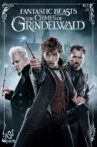 Fantastic Beasts: The Crimes of Grindelwald Movie Streaming Online Watch on Book My Show, Google Play, Hungama, Netflix , Tata Sky , Youtube, iTunes