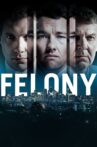 Felony Movie Streaming Online Watch on Google Play, Hungama, Jio Cinema, Tubi, Youtube