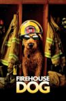 Firehouse Dog Movie Streaming Online Watch on Amazon