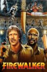 Firewalker Movie Streaming Online Watch on MX Player, Tubi