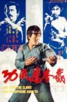 Fist of Fury 3 Movie Streaming Online Watch on Tubi