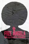 Free Angela and All Political Prisoners Movie Streaming Online Watch on Tubi