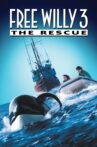 Free Willy 3: The Rescue Movie Streaming Online Watch on Google Play, Youtube, iTunes