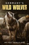 Germany's Wild Wolves - As They Really Are Movie Streaming Online Watch on Tubi