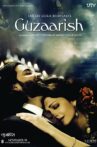 Guzaarish Movie Streaming Online Watch on Google Play, Netflix , Youtube