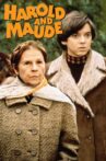 Harold and Maude Movie Streaming Online Watch on Tubi