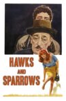 Hawks and Sparrows Movie Streaming Online Watch on Film Rise