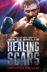Healing Scars Movie Streaming Online Watch on Tubi