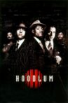 Hoodlum Movie Streaming Online Watch on Tubi, iTunes