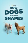 How Dogs Got Their Shapes Movie Streaming Online Watch on Disney Plus Hotstar