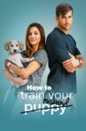 How to Train Your Husband Movie Streaming Online Watch on Jio Cinema, MX Player, Tubi
