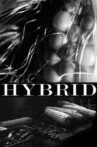 Hybrid Movie Streaming Online Watch on Tubi
