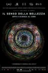 Il senso della bellezza Movie Streaming Online Watch on Tubi