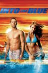 Into the Blue Movie Streaming Online Watch on Tubi