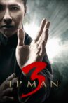 Ip Man 3 Movie Streaming Online Watch on Google Play, Youtube, iTunes