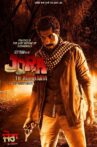 Jora 10 Numbaria Movie Streaming Online Watch on Netflix