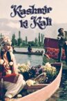 Kashmir Ki Kali Movie Streaming Online Watch on Amazon, ErosNow, Hungama, Jio Cinema, Shemaroo Me, Tata Sky , Tubi