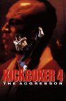 Kickboxer 4: The Aggressor Movie Streaming Online Watch on Tubi