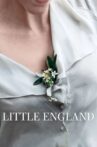 Little England Movie Streaming Online Watch on Tubi