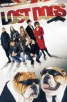 Lost Dogs Movie Streaming Online Watch on Tubi