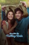 Love Like the Falling Rain Movie Streaming Online Watch on Netflix