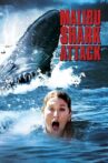 Malibu Shark Attack Movie Streaming Online Watch on Amazon