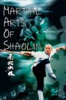Martial Arts of Shaolin Movie Streaming Online Watch on Hungama, MX Player, Netflix