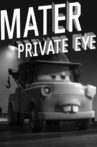 Mater Private Eye Movie Streaming Online Watch on Disney Plus Hotstar