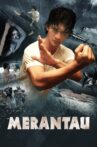 Merantau Movie Streaming Online Watch on Tubi