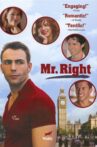 Mr. Right Movie Streaming Online Watch on Tubi