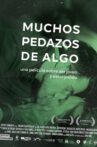 Muchos pedazos de algo Movie Streaming Online Watch on Tubi