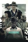 Mudbound Movie Streaming Online Watch on Netflix